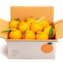 깨비농원 제주 한라봉 2.5kg, 한라봉 2.5kg 소과(12-17과)
