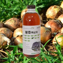 자연미가 양파 효소액 1000mlx1병 /ss 자연숙성 발효액100%, 1000ml, 1개