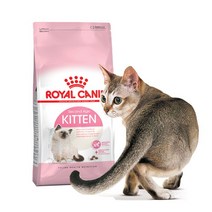 [도그씨] 로얄캐닌 키튼 4kg 면역강화 어린고양이사료, 상세 설명 참조, 상세 설명 참조, 상세 설명 참조