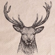 파스텔크래프트 냅킨아트 SDL016100 We care Deer 냅킨20매 33x33cm 2089, 20매입, 혼합색상