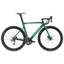 사이클산악로드자전거 가까운곳 다이어트 로드 바이크 r08-r8020 탄소 섬유 로드, 51, 시마노 울테그라 22s, 초록