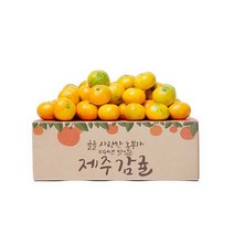 제주 햇 감귤 고당도 제철과일, 1box, 9kg 소과