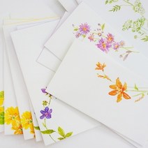 PGM1*^몰늘봄 들꽃 돈봉투 6종 부모님용 이편지 상품권 심플 종이 용봉투 디자인 예쁜 편지지 님용^*1췤pgm, *^^옵션*^1.벌개미취