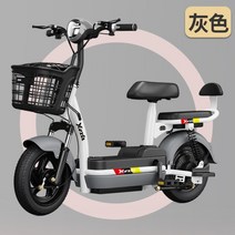 전기자전거, 천연에너지12A배터리약65km지속그레이, 48V, 12ah