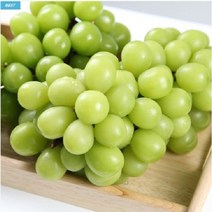 프리미엄 고당도 수출용 선물용 망고 포도 경북 영천 노지 샤인머스켓 2kg 3송이