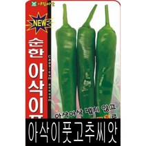 [워터트리몰] 채소 종자 재배 씨앗 순한 아삭이풋고추 씨앗(50립) (A)