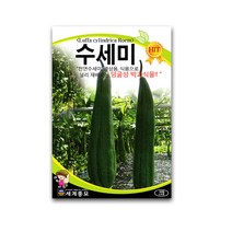 모칸도 세계 수세미(관상용) 10립