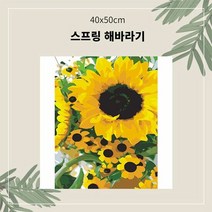 OH 명화유화그리기 A-047 스프링해바라기 중형 40x50, 럭키쿠팡 본상품선택