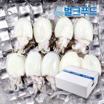 미니 갑오징어 베이비이까 2.4kg 벌크 손질, 옵션1. 9미(20/40), 1개