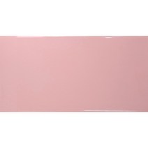 타일닷컴 100x200 직사각 컬러 타일, 10. 유광 핑크
