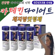 얼굴살 팔뚝살 뱃살 옆구리살 복부 카테킨 다이어트 윗배 아랫배 상체 턱살 광대살 이중턱 살빼는법 살빠지는 건강 보조 식품 식약처인증 녹차 그린티 추출물 식이섬유 섬유질 섬유소 필수