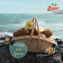 [더단프레시]제주 골드키위 제스프리, 5. 제주 골드키위 대 52과 개당 약 110g