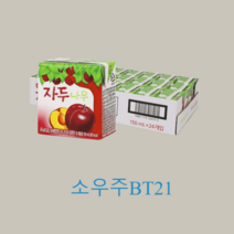 자두나무 150ml x 24입 (1박스)
