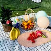 돛자리 서울숲 돗자리 방수 피크닉 매트 등산 캠핑 6종 야외용 은박지 태백산맥 아크릴, 베이지