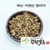(강원약초) 국산 창이자200g ( 자연산) 국내 청정지역 자연에서채취한 도꼬마리 창이자 함께 쓰면 좋은약초 신이화 유근피 창이자 어성초 작두콩 느룹나무, 국산 무농약 작두콩300g, 1개