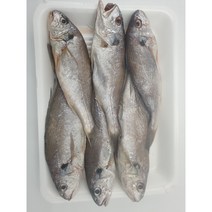 다원 급냉 국산 백조기 6미, 개당중량 90g~120g 사이