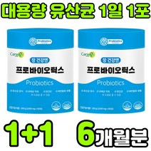 락토바실러스 플란타럼 람노서스 퍼멘텀 가세리 루테리 애시도필러스 멀티 PROBIOTICS 프로이 프로 프리 바이오 틱스 텍스 스틱 분말 가루 온가족 패밀리 부모님 중년 여성 청소년, 2통(6개월분)