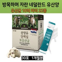 노인 산양유 단백질 분말 스틱 아침 식사 대용 프로틴 네덜란드 뿌려 먹는 타 마시는 운동 전 후 중 고등 학생 10대 40대 50대 60대 70대 80대 속이 편한 단백질 보충제