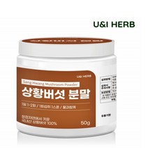 국내산 상황버섯 분말 100% 가루 차 뽕나무 베타글루칸 50g 진흙버섯 진액 추출물 엑기스 농장 먹는법 천연조미료 청정지역에서키운 순수 무첨가물 면역력강화 항산화 효능 건강식품, 1통