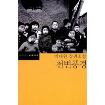 천변풍경, 문학과지성사, <박태원> 저/<장수익> 편” class=”wr-img”></a></div></div></div></div><div class=