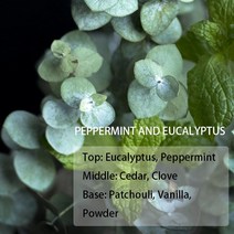 캔들워머 양초난로 크리스마스 캔들리스 센터피스 향피우기 캔들사이언스 미국 수입 캔들 오일, 05 16oz오리지널（약473ml）, 14 민트유갈리 Peppermint