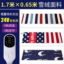 12V 전기장판 DC 전기매트 차박 사용 가능 캠핑 카라반용 1-2인, 24볼트170X65cm9단타이머스위치