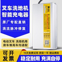 지게차 충전기 전동 바닥 세탁기 스태커 리프트 12V24V15A20A 관광 자동차 배터리, 17.12V10A 충전식 물 배터리 Anderson 5