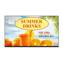 55인치 디지털사이니지 CDS5520 광고용모니터 서울/경기/인천:CDS5520+플레이어모듈, 모델명/품번