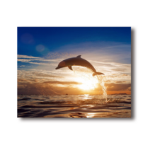 아트조이 DIY 명화 그리기 세트 40 x 50 cm 가로형