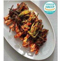 전라남도 강진 (주)미람종합푸드 파김치 *구매시 계절에 따라 상품이 다르니 상품정보 꼭 확인*, 5kg