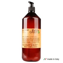 이태리 에브리그린 안티옥시덴트 샴푸 1000ml 두피 모발 샴푸, 단품