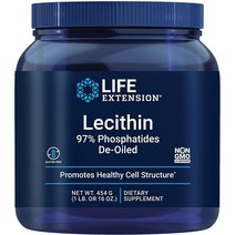 라이프익스텐션 레시틴 보충제 분말 454G