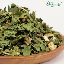 산골소녀 국내산 뽕잎 뽕나무잎, 600g