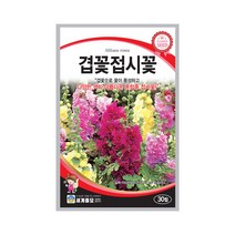 솔림텃밭몰 겹꽃접시꽃씨앗 30립 접시꽃 꽃씨앗 혼합종, 1개