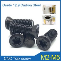 20PCS M2 M2.2 M3 M4 M5 등급 12.9 CNC 공구 나사 삽입 Torx 카바이드 선삭 인서트 교체 선반 액세서리, 01 M2X5