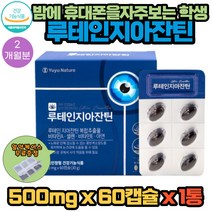 늦은 밤 휴대폰을 자주 보는 아이 청소년 개별인정형 루테인지아잔틴 눈 건강 영양제 60캡슐 X 1통 2개월분 프리미엄 부원료 함유