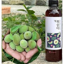 개복숭아원액 에이드 진액 엑기스 개복숭아즙 액기스 드레싱 샐러드 아이스티 농부프린스 돌복숭아zab783, SPRd_개복숭아원액 500ml, 상품선택