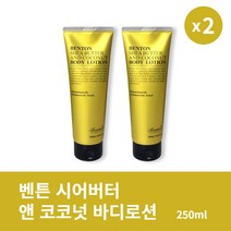 [본사정품] 1+1 벤튼 시어버터 앤 코코넛 바디로션 250ml 2개 세트 촉촉한 바디 보습, 250ml × 2개