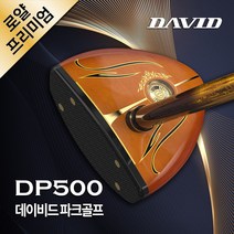 데이비드 로얄 프리미엄 파크골프 세트상품 DP500 파크골프채 가방 볼, 프리미엄 DP500 남성 세트
