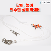 외수질 생미끼 채비 광어 우럭 농어
