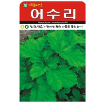 산채종자 어수리 씨앗 (1L/통)(A0039)