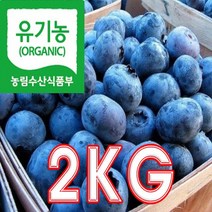 햇님농원 국산 유기농인증 블루베리 냉동 특 농장직송 당일수확 선물용, 1개, 2KG