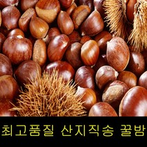 고씨네 특급 애플망고 2KG 애플망고후숙 수입애플망고