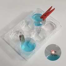 다니엘전지 만들기(염다리 분극현상)(1인용) RAT, 상세페이지 참조