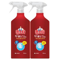 홈스타 착 붙는 락스 세정제 스프레이 750ml / 강력한 부착력, 2개입