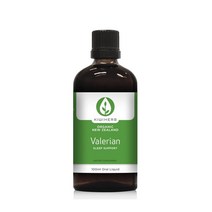 키위허브(KIWIHERB) 키위허브 발레리안 슬립 서포트 100ml, 1개