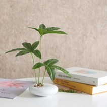 플라워트리 홍콩야자수반set 28cm_P 조화 인테리어 꽃 소품..., 단품