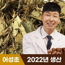 [혜민원] 국내산 어성초 10g