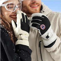 웨일썸 그로브 겨울 스키장갑 보드장갑 스마트터치 이중방수 기모안감 방한 장갑, 핑크L