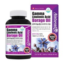 감마리놀렌산 보라지오일 GLA 보라지유 40대 50대 60대 여성 갱년기 에좋은 영양제 달맞이꽃유 오일 고함량 효능 캐나다, 0, 180캡슐(6개월) x 1개